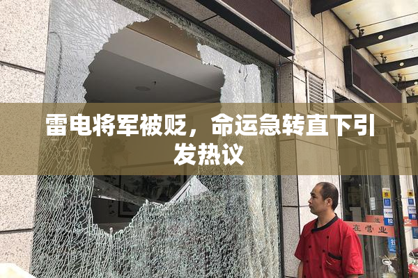 雷电将军被贬，命运急转直下引发热议