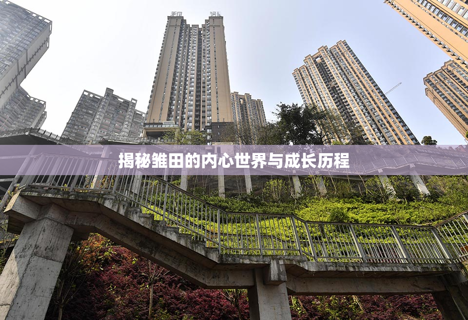 揭秘雏田的内心世界与成长历程