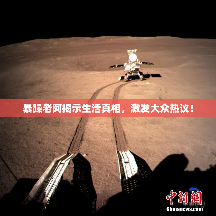 暴躁老阿揭示生活真相，激发大众热议！