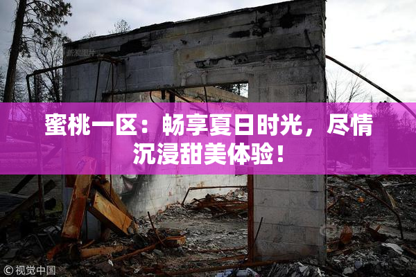 蜜桃一区：畅享夏日时光，尽情沉浸甜美体验！