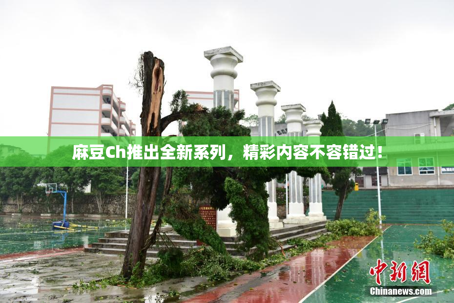麻豆Ch推出全新系列，精彩内容不容错过！