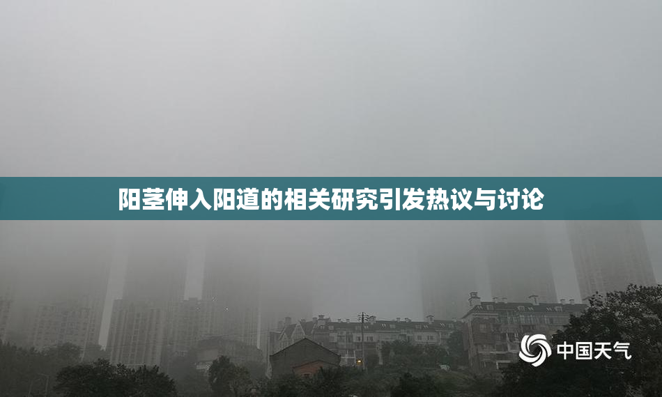 阳茎伸入阳道的相关研究引发热议与讨论