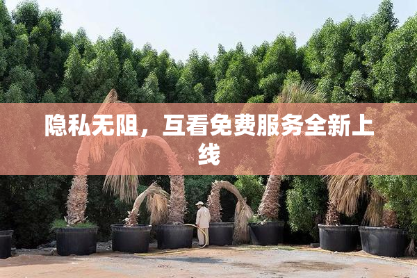 隐私无阻，互看免费服务全新上线