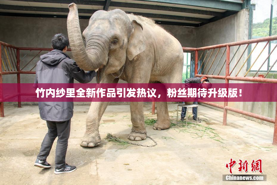 竹内纱里全新作品引发热议，粉丝期待升级版！