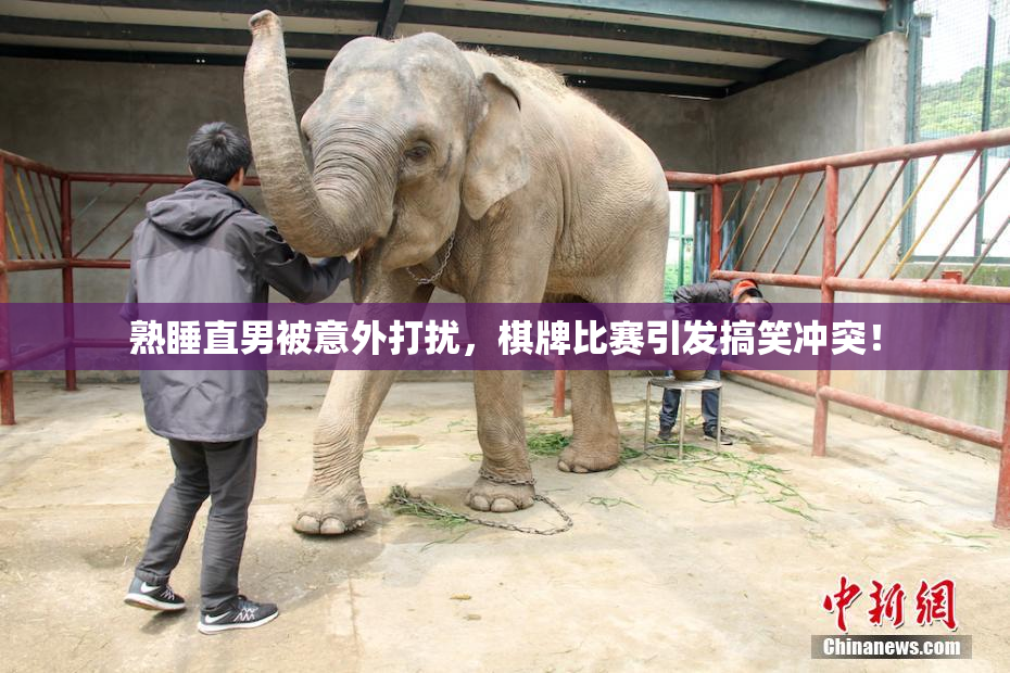 熟睡直男被意外打扰，棋牌比赛引发搞笑冲突！