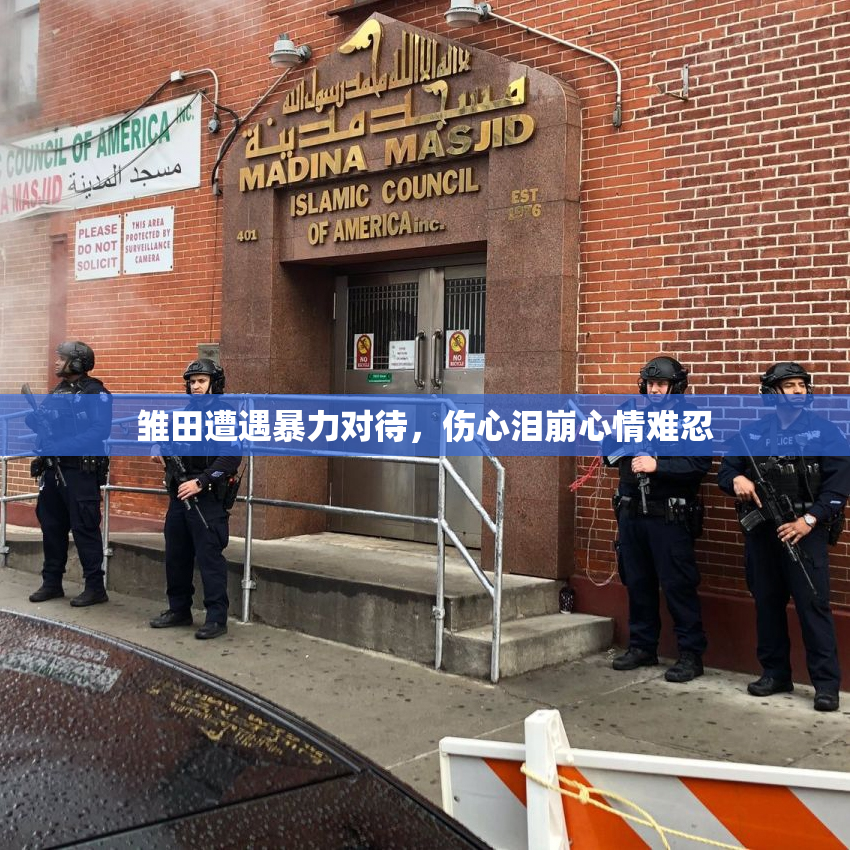雏田遭遇暴力对待，伤心泪崩心情难忍