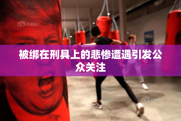 被绑在刑具上的悲惨遭遇引发公众关注
