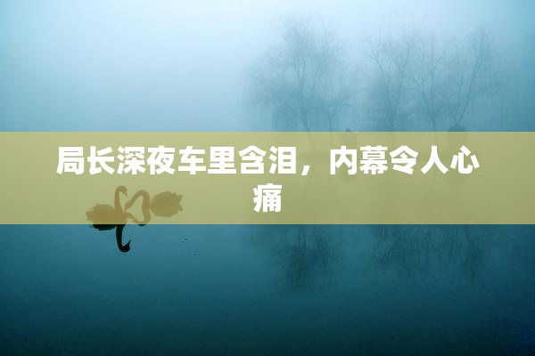 局长深夜车里含泪，内幕令人心痛