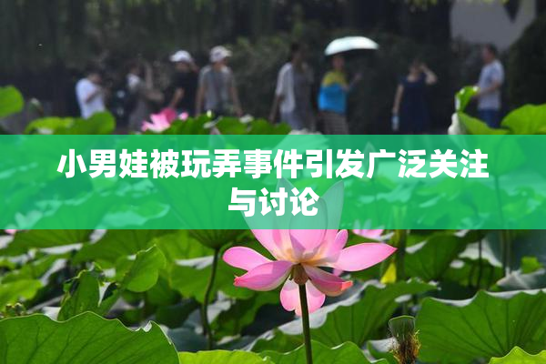 小男娃被玩弄事件引发广泛关注与讨论