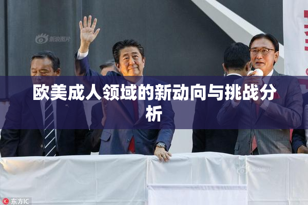 欧美成人领域的新动向与挑战分析