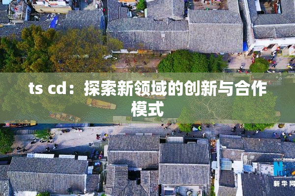 ts cd：探索新领域的创新与合作模式