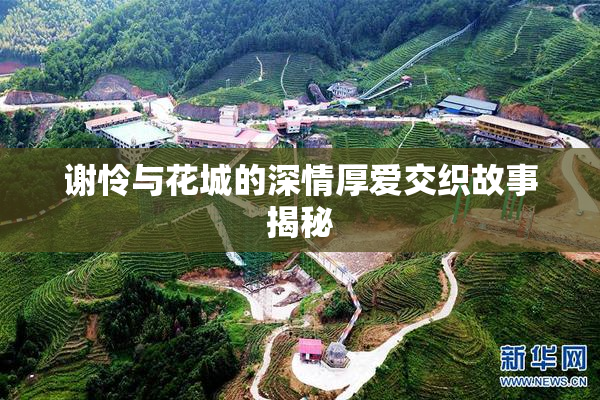 谢怜与花城的深情厚爱交织故事揭秘