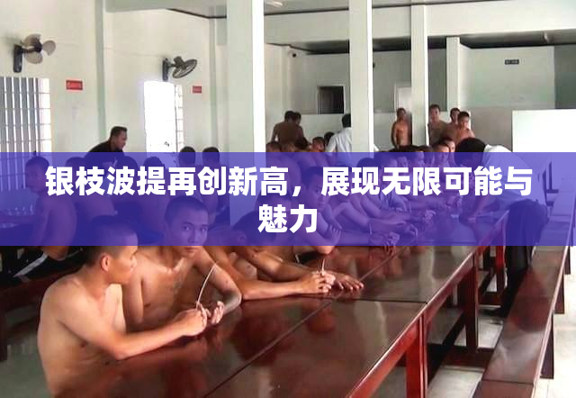 银枝波提再创新高，展现无限可能与魅力