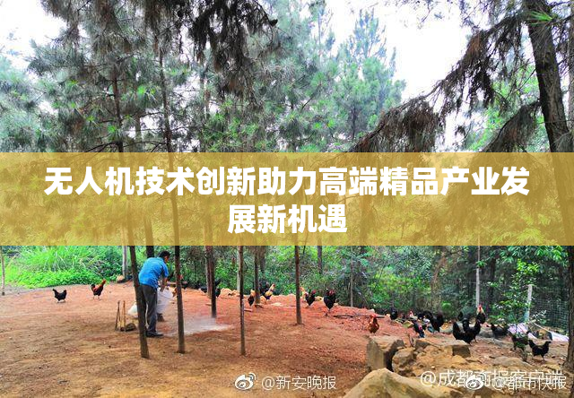 无人机技术创新助力高端精品产业发展新机遇