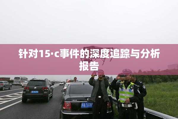 针对15·c事件的深度追踪与分析报告