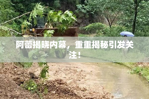 阿蕾揭晓内幕，重重揭秘引发关注！