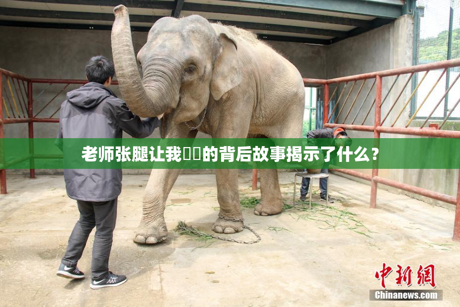 老师张腿让我❌‌的背后故事揭示了什么？