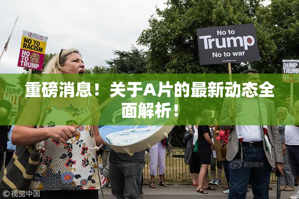 重磅消息！关于A片的最新动态全面解析！