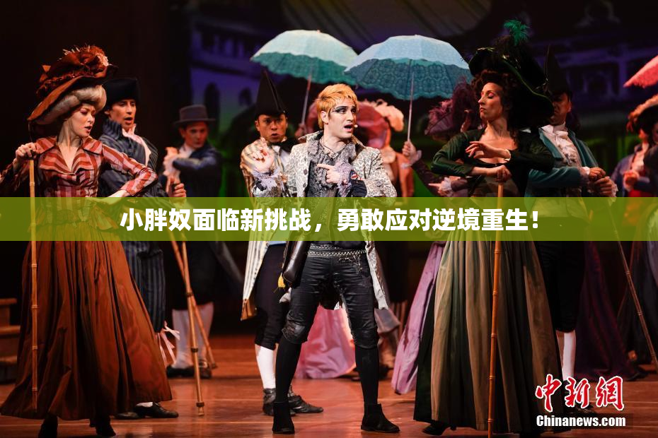 小胖奴面临新挑战，勇敢应对逆境重生！