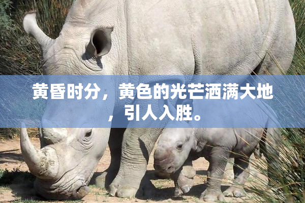 黄昏时分，黄色的光芒洒满大地，引人入胜。