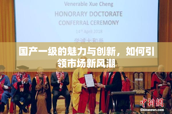 国产一级的魅力与创新，如何引领市场新风潮