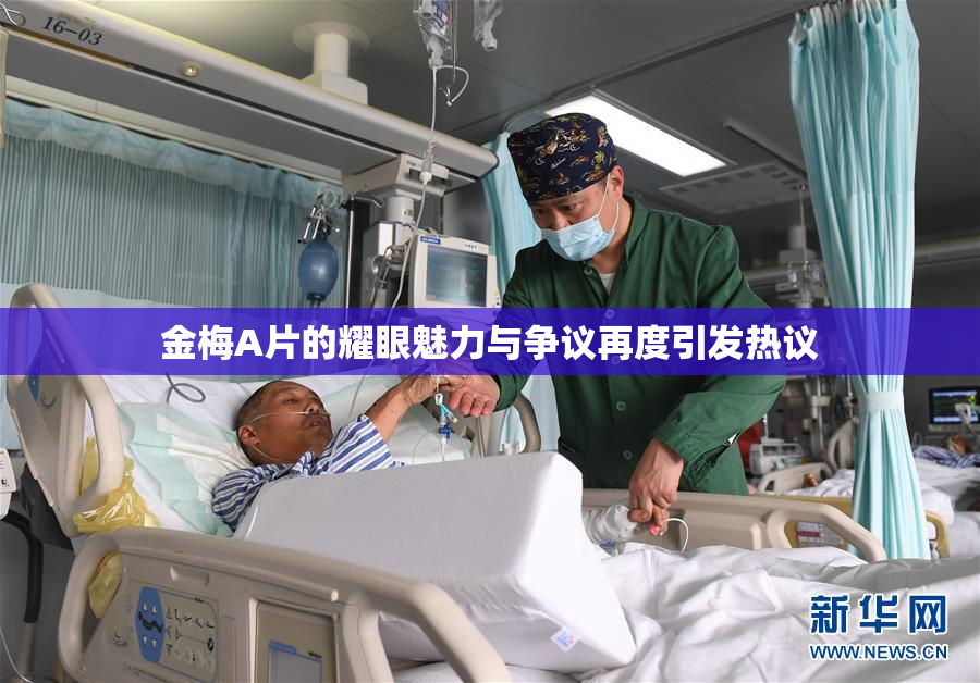 金梅A片的耀眼魅力与争议再度引发热议