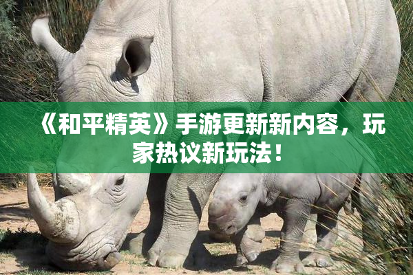 《和平精英》手游更新新内容，玩家热议新玩法！