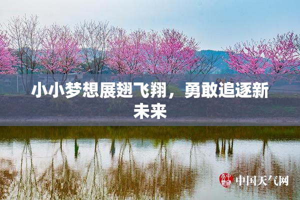 小小梦想展翅飞翔，勇敢追逐新未来