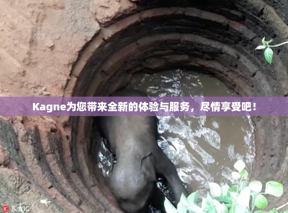 Kagne为您带来全新的体验与服务，尽情享受吧！