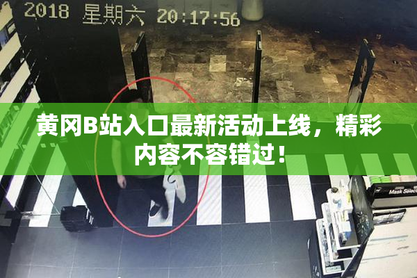 黄冈B站入口最新活动上线，精彩内容不容错过！