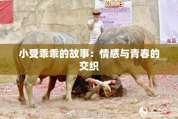 小受乖乖的故事：情感与青春的交织
