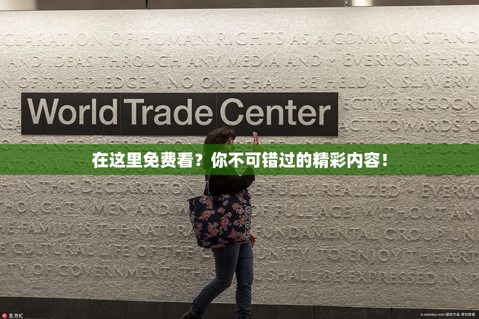 在这里免费看？你不可错过的精彩内容！
