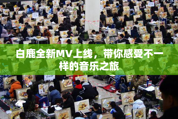 白鹿全新MV上线，带你感受不一样的音乐之旅