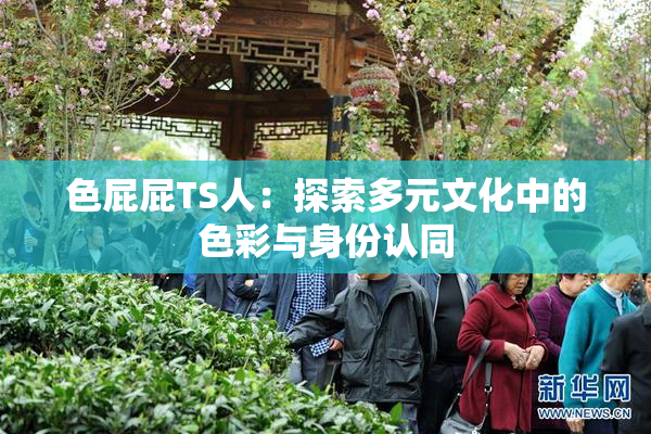 色屁屁TS人：探索多元文化中的色彩与身份认同