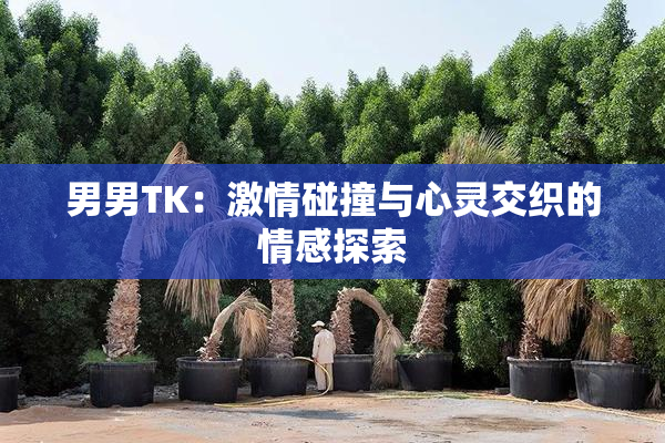 男男TK：激情碰撞与心灵交织的情感探索