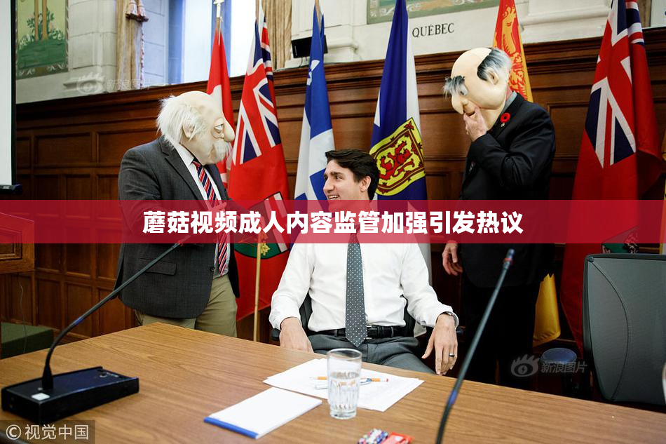 蘑菇视频成人内容监管加强引发热议