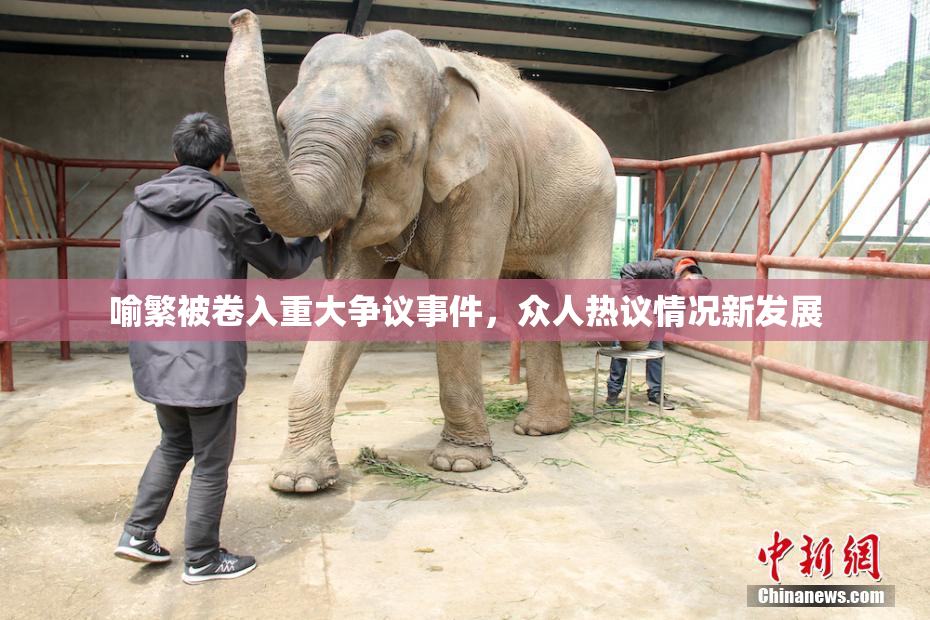 喻繁被卷入重大争议事件，众人热议情况新发展