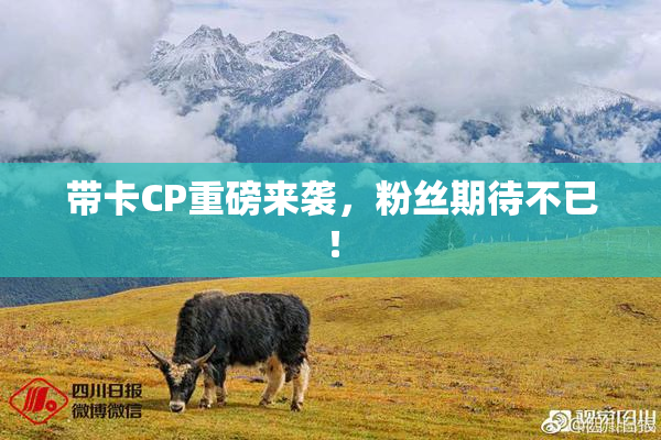 带卡CP重磅来袭，粉丝期待不已！
