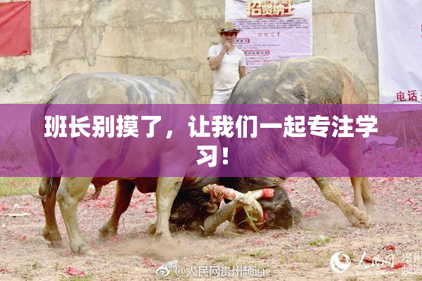 班长别摸了，让我们一起专注学习！