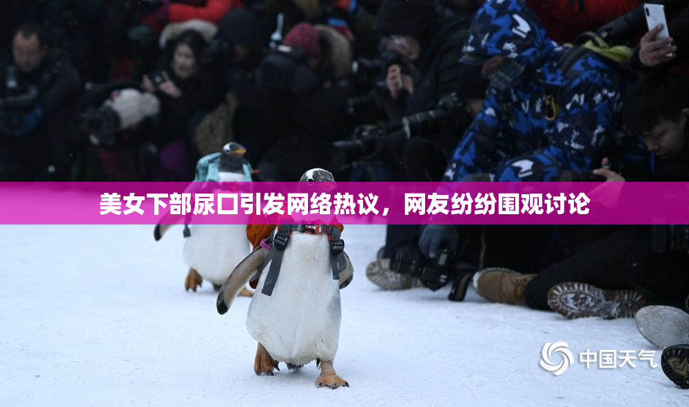 美女下部尿囗引发网络热议，网友纷纷围观讨论