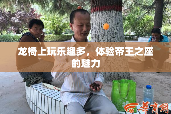 龙椅上玩乐趣多，体验帝王之座的魅力