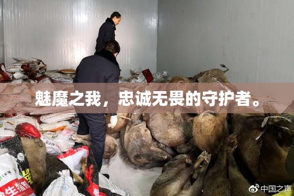 魅魔之我，忠诚无畏的守护者。