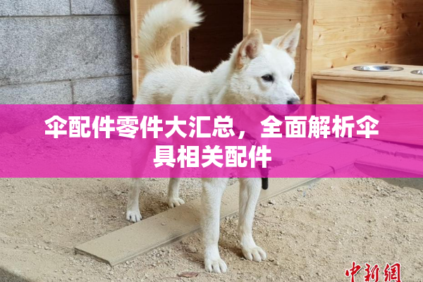 伞配件零件大汇总，全面解析伞具相关配件