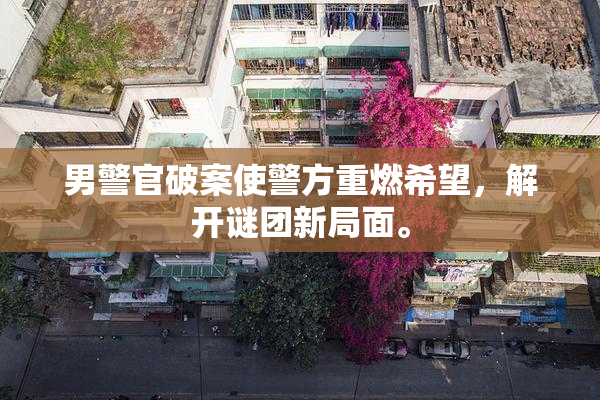 男警官破案使警方重燃希望，解开谜团新局面。