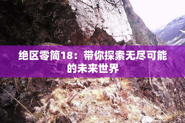 绝区零简18：带你探索无尽可能的未来世界