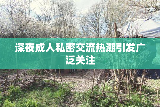 深夜成人私密交流热潮引发广泛关注