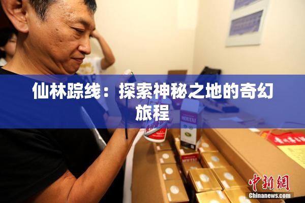 仙林踪线：探索神秘之地的奇幻旅程
