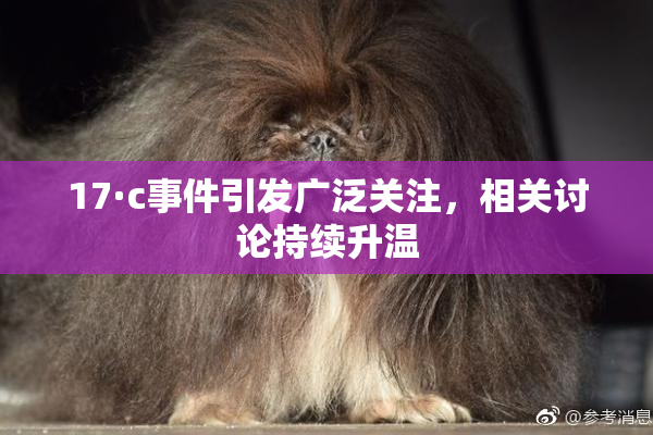 17·c事件引发广泛关注，相关讨论持续升温