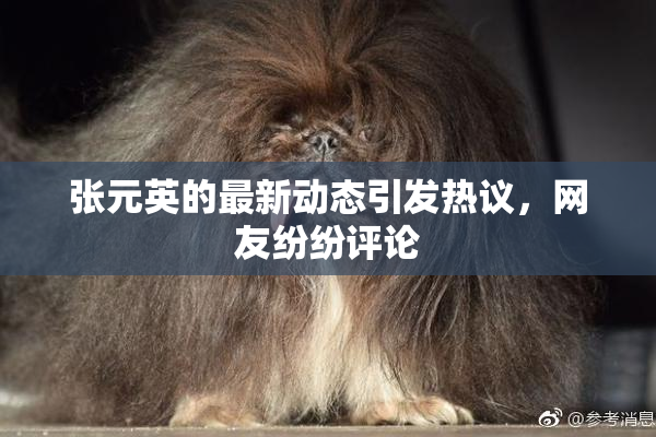张元英的最新动态引发热议，网友纷纷评论