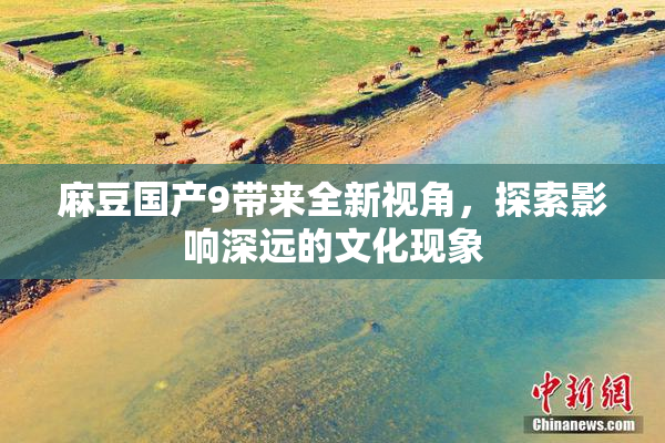 麻豆国产9带来全新视角，探索影响深远的文化现象